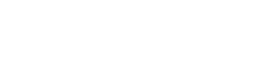 light logo