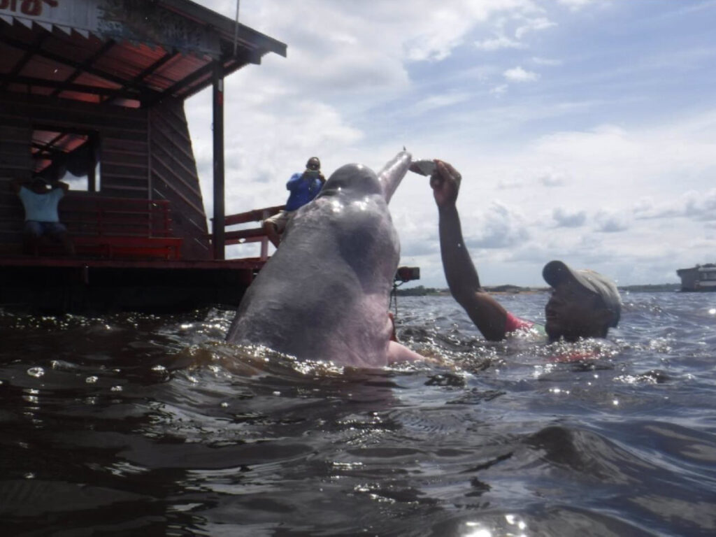 Ultimate Fishing Trips Amazon River Adventure Fisherman's Life.com blog