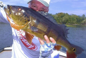 George Large - Fisherman's Life Ultimate Fishing Trips